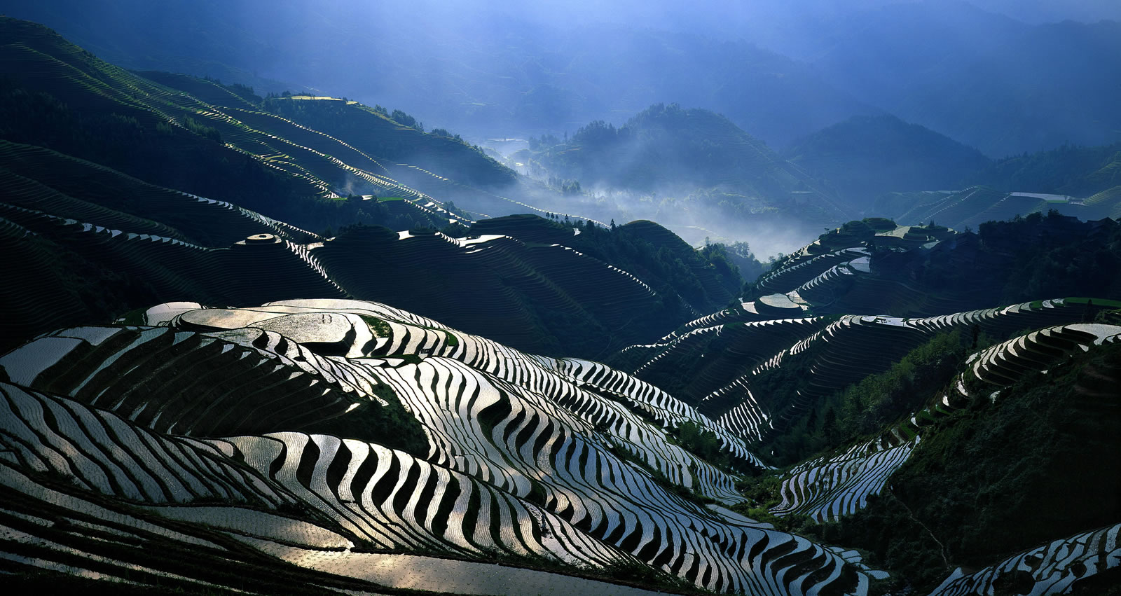 12c6835f2b124851b7e18c7dc6fdc281 1.jpg